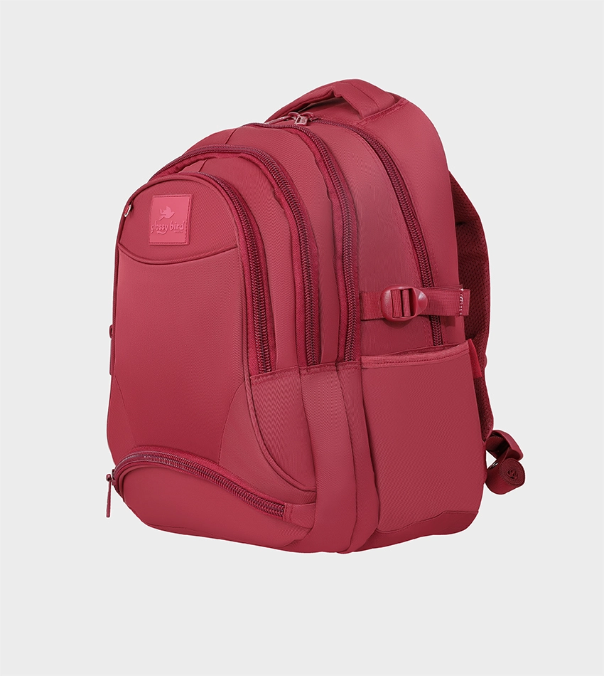 حقيبة ظهر مدرسية GB5500-2 